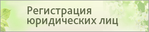 Регистрация юридических лиц от РаСоБи